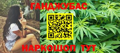 сатива Можга