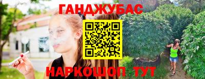 сатива Можга