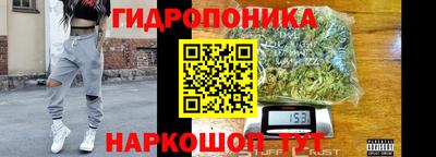 сатива Можга