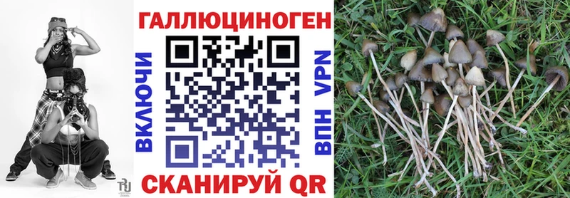 Псилоцибиновые грибы мицелий  дарнет шоп  Ялта 