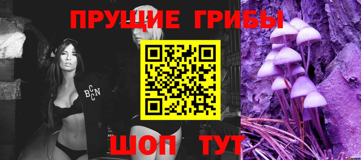 Псилоцибиновые грибы прущие грибы Ялта